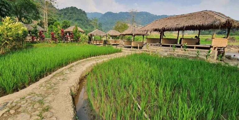 TREKKING LEUWI PANGADUAN SHORT