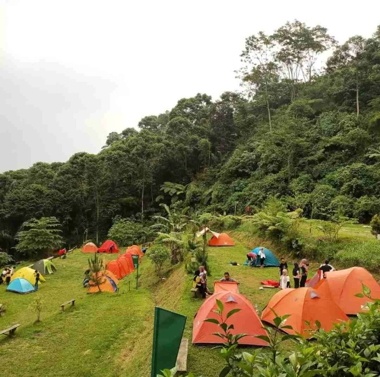 CAMPING TEPI SUNGAI 2H1M